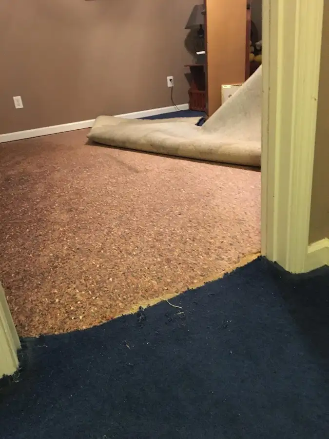 Carpet pad removal revealing water damage during Water Mitigation Services in Mead