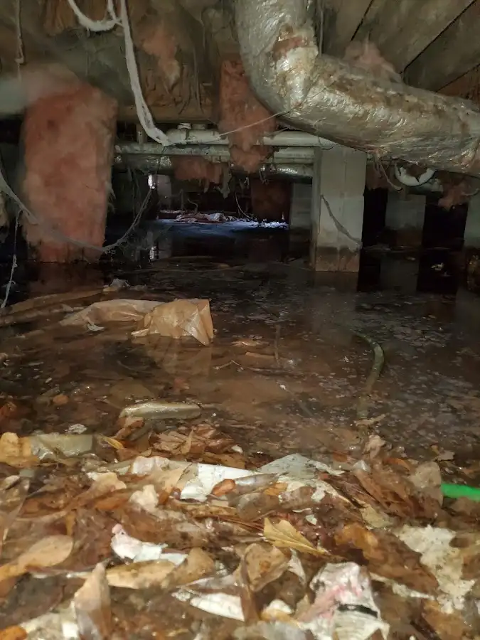 Crawl space flood assessment for Leak Detection & Repair in Mead