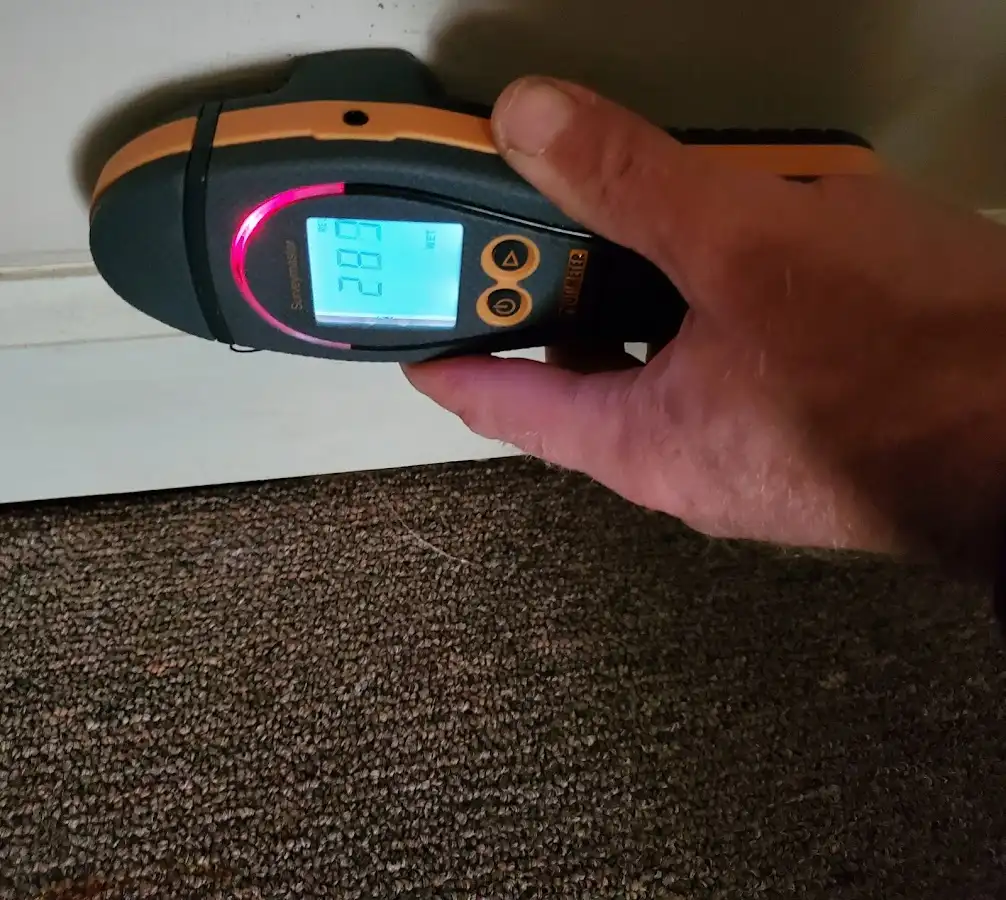 Moisture detection at baseboard during Sewage Cleanup & Sanitation in Mead